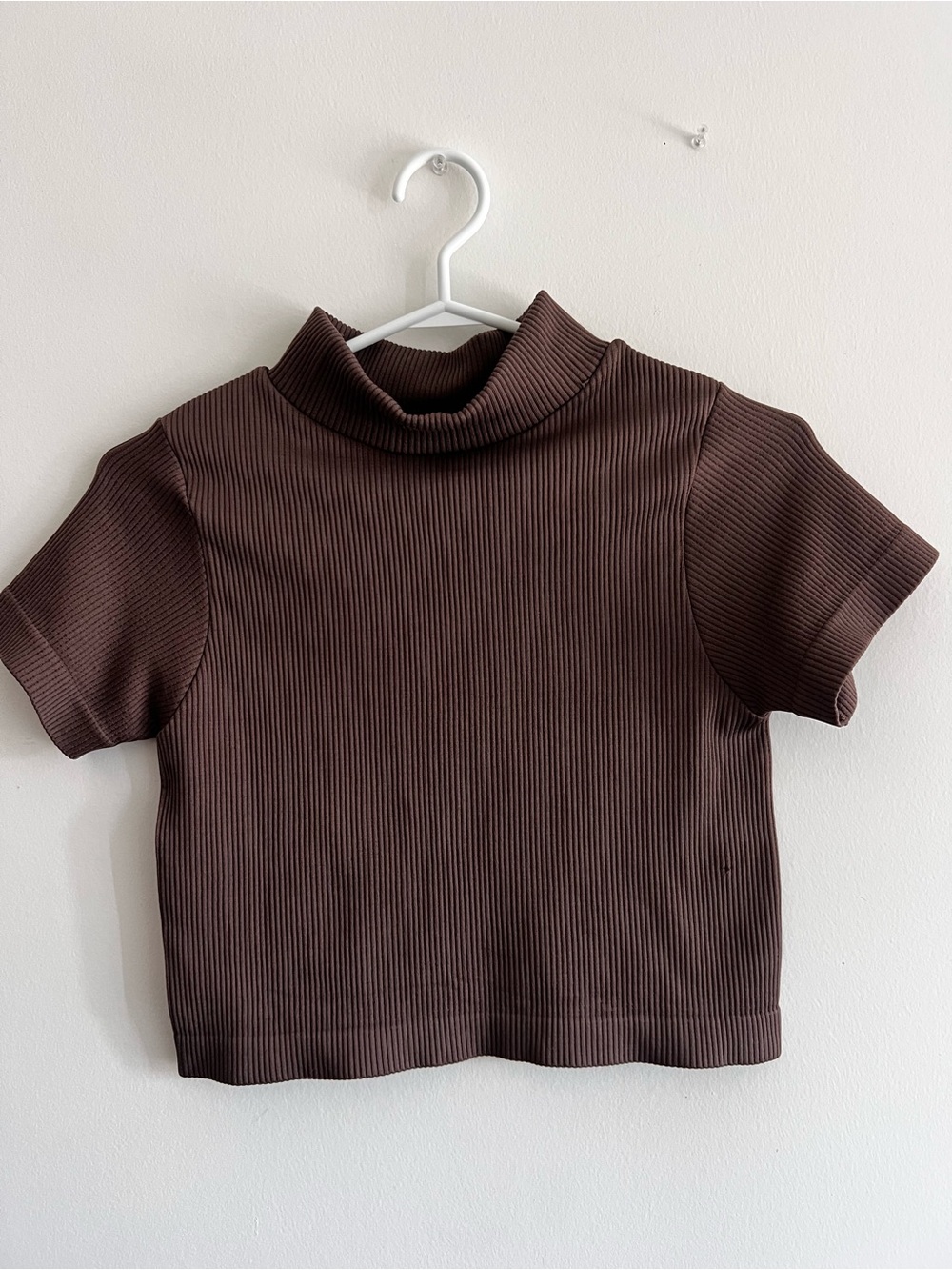 Cotton Candy Brown Ribbed Mock Neck Crop Top